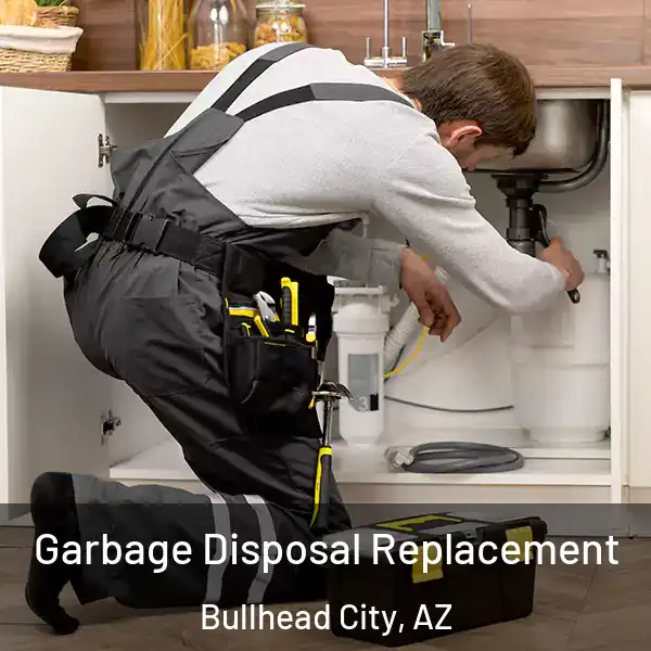  Garbage Disposal Replacement Bullhead City, AZ
