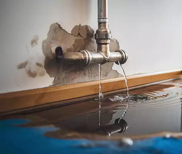 Professional Water Damage Restoration Experts in Bullhead City, AZ — Fast, Reliable & Certified