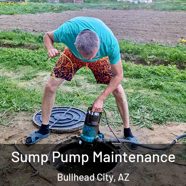  Sump Pump Maintenance Bullhead City, AZ